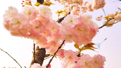 愛吃白食的人,欲壑難填,不值得維護