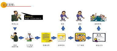 歐盟CE認(rèn)證指南 流程、機(jī)構(gòu)選擇與南京倍晟咨詢中心的服務(wù)優(yōu)勢